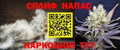 гидра Краснокаменск