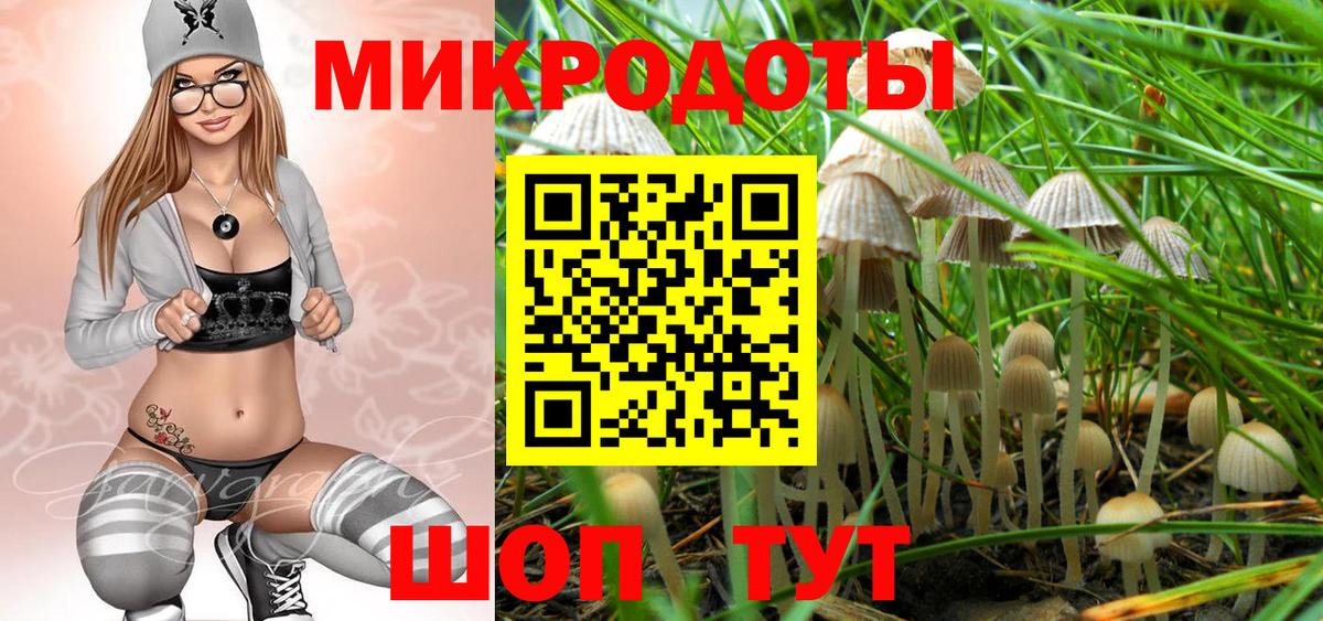 Псилоцибиновые грибы Magic Shrooms Елец